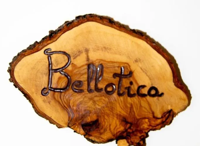 Holiday home Casa Rural Bisimbre